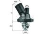 FORD 1505640 Thermostat, coolant